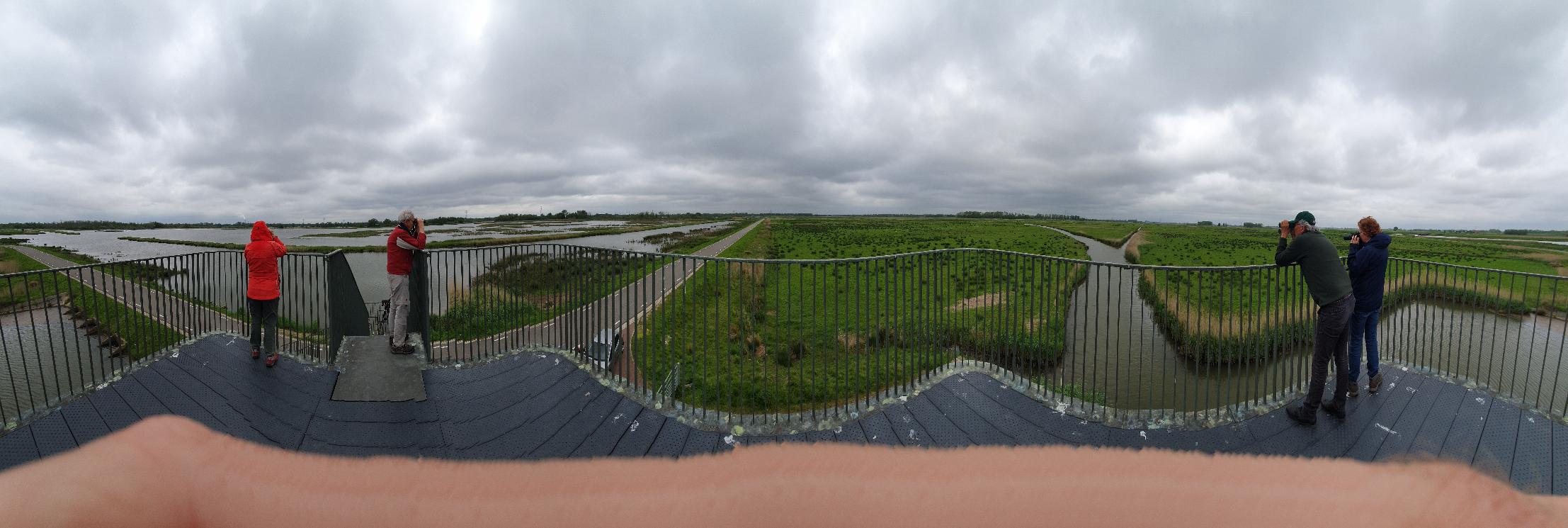 Vogelaars (Biesbosch). Foto van Johan Meijer.